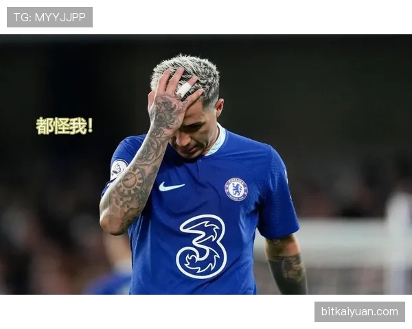 恩佐·费尔南德斯的世界杯冠军是否代表其职业生涯巅峰？