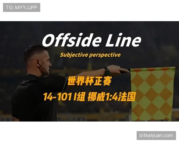 挪威1-4法国:世界杯I组末轮战报 挪威1-4法国:世界杯I组末轮战报